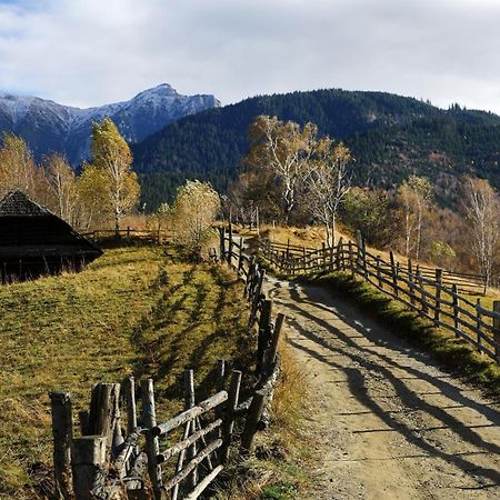 Pensiunea Montan Din Bran,Sat Simon Spa Indoor Bran  Dış mekan fotoğraf