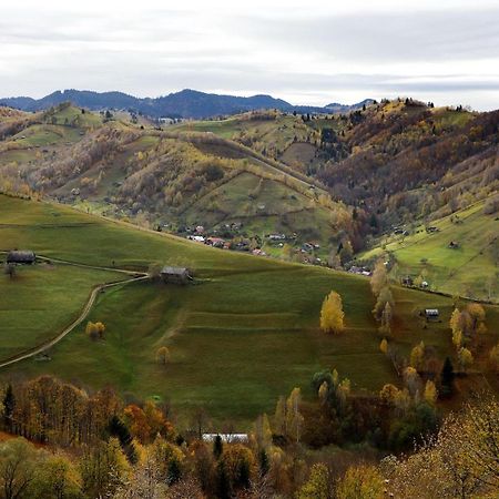 Pensiunea Montan Din Bran,Sat Simon Spa Indoor Bran  Dış mekan fotoğraf