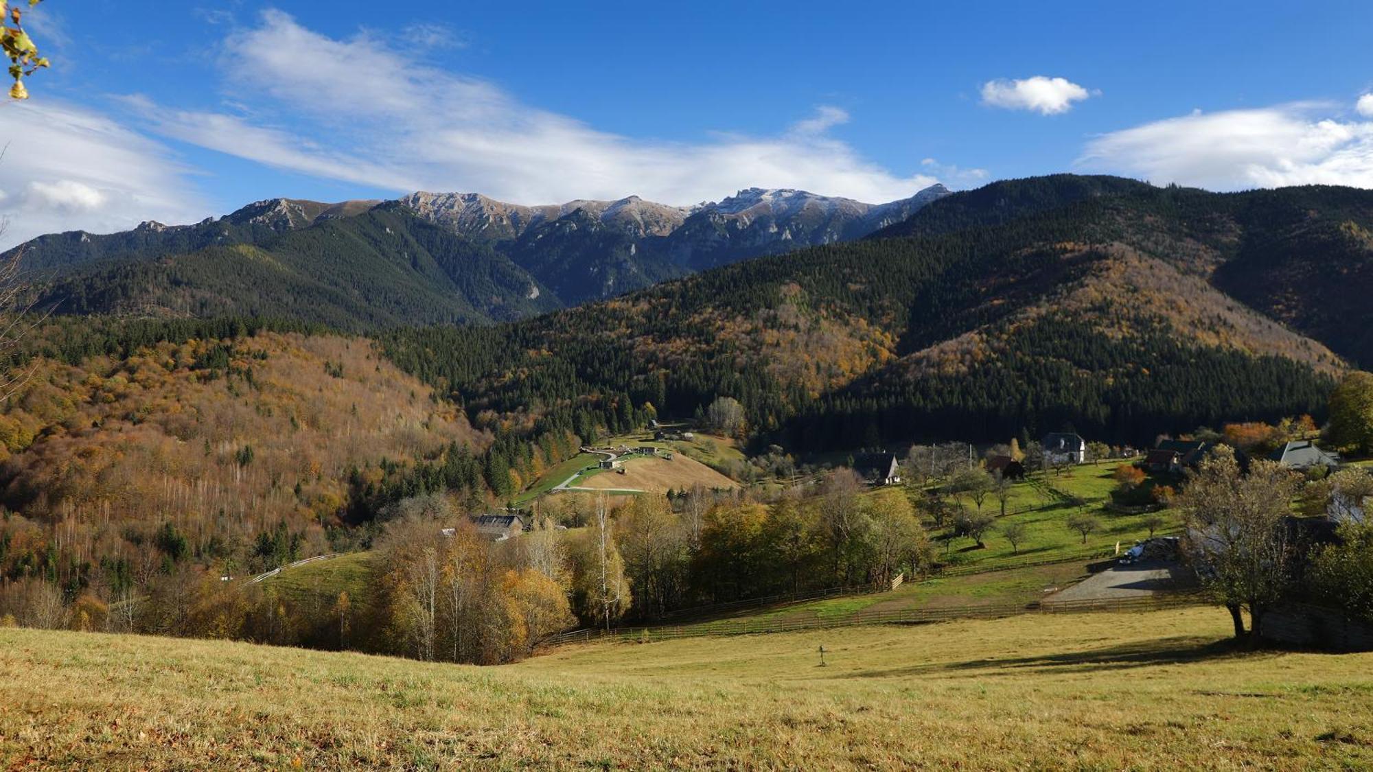 Pensiunea Montan Din Bran,Sat Simon Spa Indoor Bran  Dış mekan fotoğraf