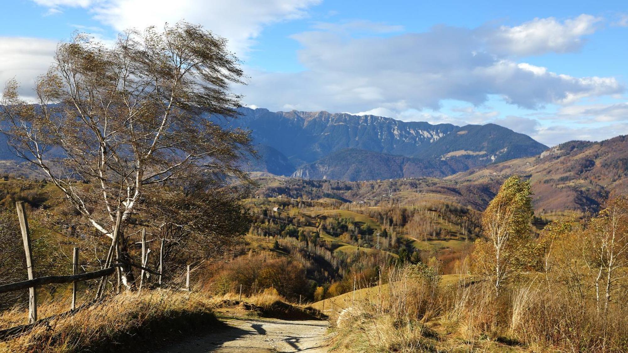 Pensiunea Montan Din Bran,Sat Simon Spa Indoor Bran  Dış mekan fotoğraf